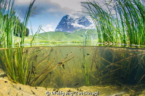 The Eiger North wall with a school of pollywogs - combini... by Wolfgang Zwicknagl 